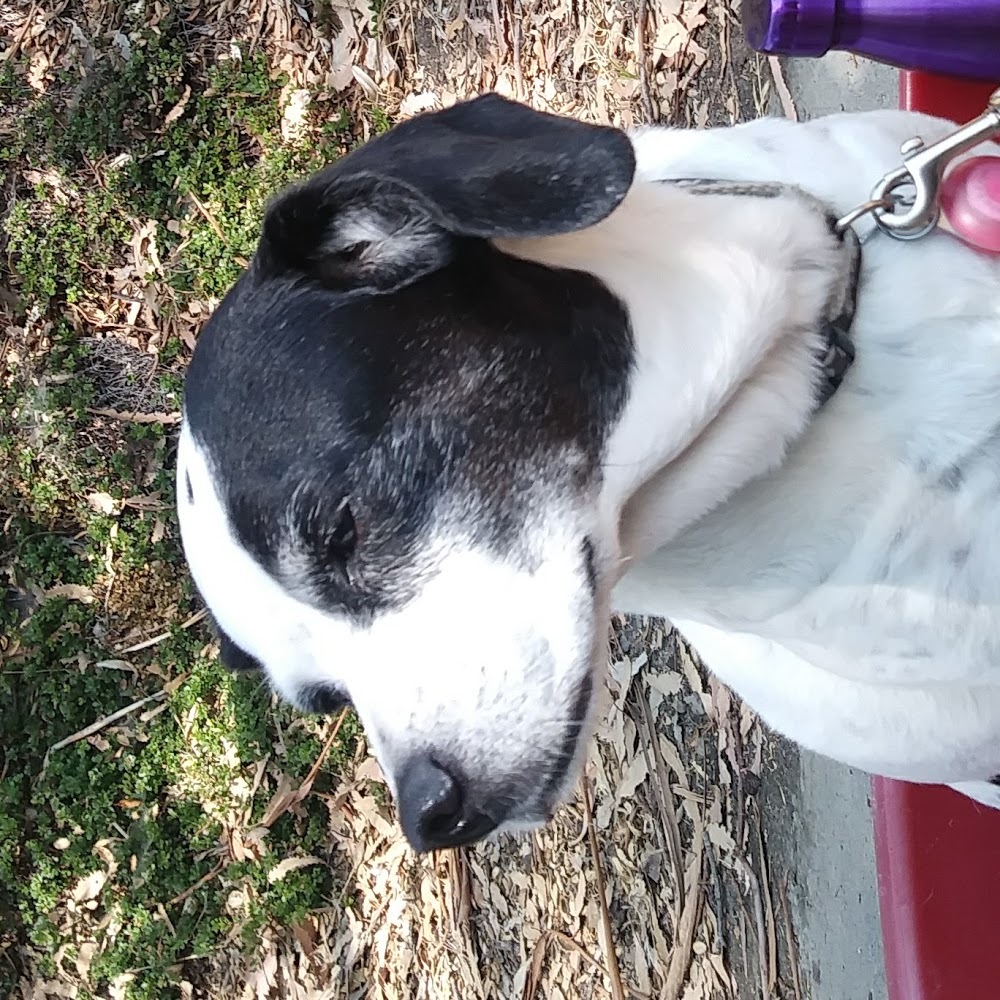 Meet your Posher, Ciel